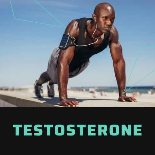 EVOLVE-Testosterone-Medication